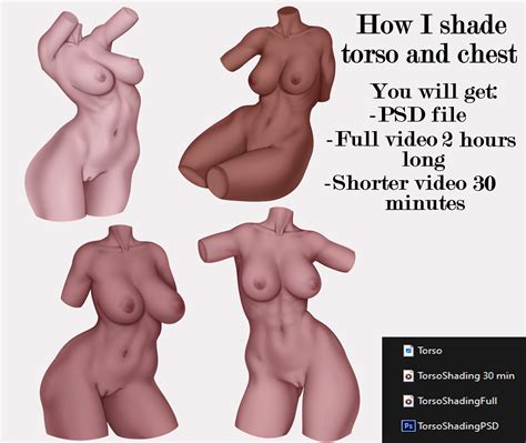 How I Shade Torso And Chest By Babayana Hentai Foundry