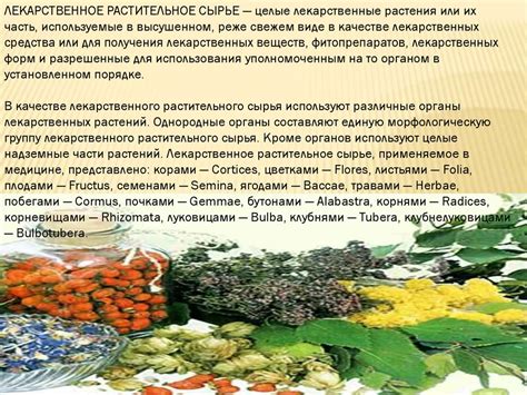 ЛРС сбор (лекарственное растительное сырье) - презентация онлайн