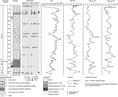 Facies sedimentarias asociaciones de facies composición y abundancia