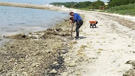 Oil spill reaches Campeche beaches - The Yucatan Times