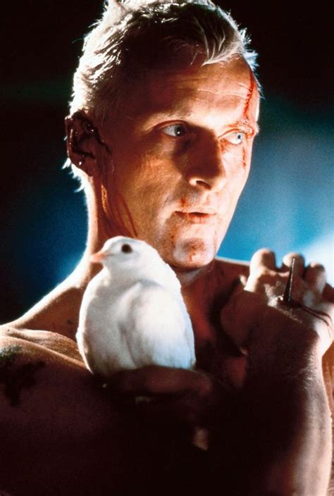 Rutger Hauer Film Science Fiction Fiction Movies Sci Fi Movies Pulp