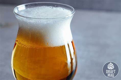 Blonde Ale Recipe: Expert Tips on How to Brew the Best Summer Beer