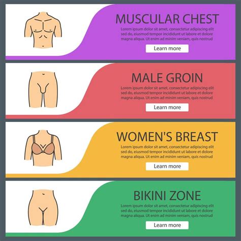 Human Body Parts Web Banner Templates Set Muscular Man S Chest Female