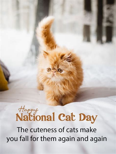 Celebrate National Cat Day With Adorable Cat Cards