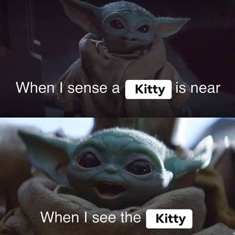 Yes | /r/BabyYoda | Baby Yoda / Grogu | Know Your Meme