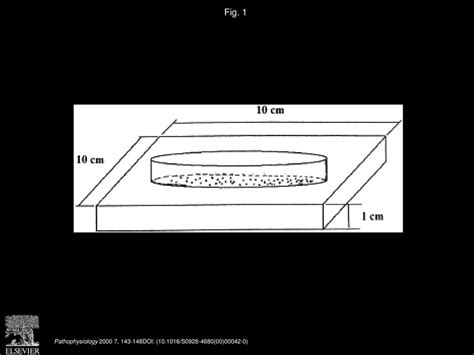 Effect Of Static Magnetic Fields On Bacteria Streptococcus Mutans