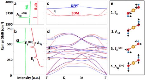 Phonon Dispersion And Raman Spectrum Of Mgoh 2 Raman Spectroscopy