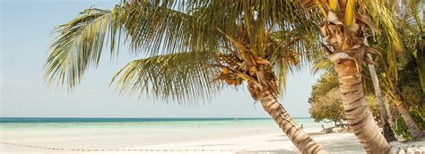 captivating beauty  cebu islands ajs place beach resort