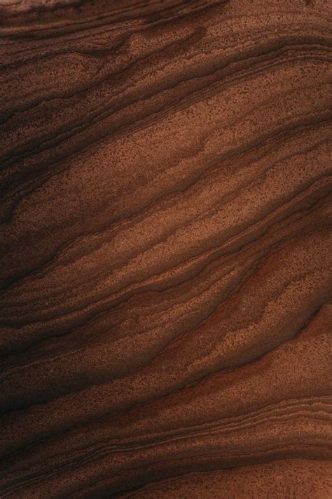 고동색, 갈색 영어로 (Brown, Caramel, Chocolate, Coffee-colored, Hazel 차이와 뜻)