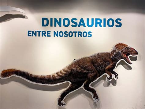 D Nde Ir On Instagram Visita La Exposici N De Dinosaurios En