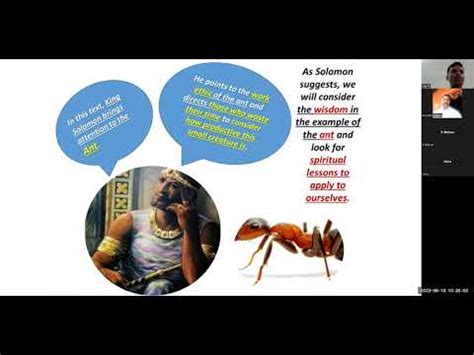 Proverbs Consider The Ants Free Kannada Bible Study Br