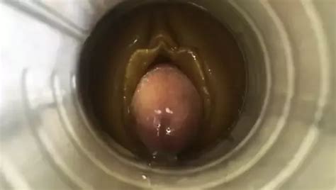 Cum Cam Man Gay Porn Creator Videos Free Amateur Nudes Xhamster