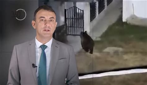 (ВИДЕО) Ново издание на 360°: „Ако ми влезе мечка, готова сум, ќе се ...