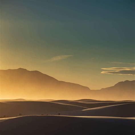 Sonoran Desert Landscape Wall Art | Painting