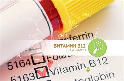 Витамин В 12 в таблетках – инструкция по применению