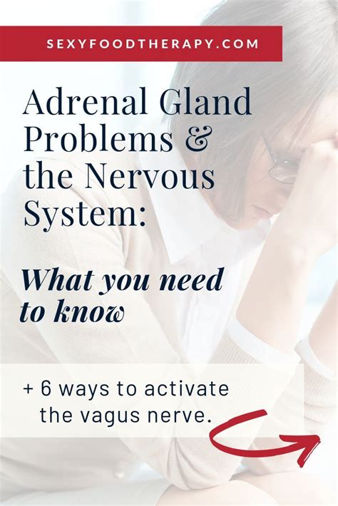 Adrenal Health Problems And The Nervous System What You Need To Know