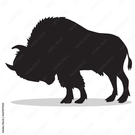 Buffalo Silhouette, cute Buffalo Vector Silhouette, Cute Buffalo ...