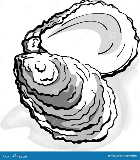 Oyster Seafood Shell Clam - Illustration Stock Vector - Image: 40030021