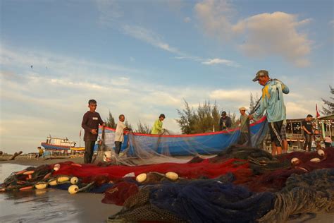 FOTO Tarek Pukat Cara Nelayan Pesisir Aceh Tangkap Ikan Habadaily