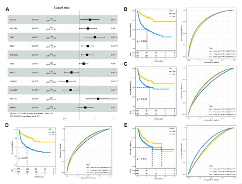 Validation Of The Riskscore Model A Forest Diagram Of Multivariate