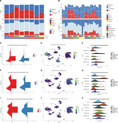 Frontiers Single Cell Rna Sequencing Reveals The Role Of Cell