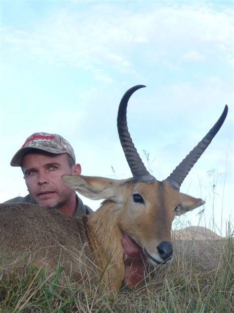 Reedbuck Pictures | AfricaHunting.com