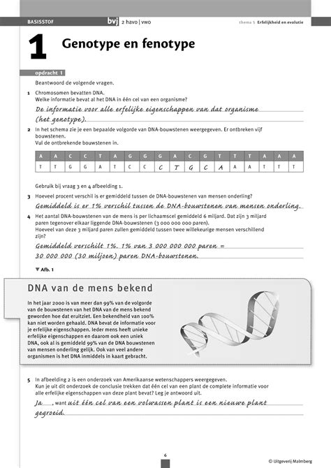 Bvj 2hv Th5 Antwoordenboek Uitgeverij Malmberg 1 Genotype En