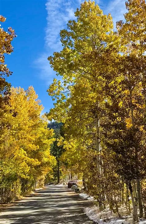 The Top 5 Places To Experience Fall Colors Along June Lake Loop