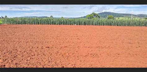 Chácara cercada no arame liso próximo da cidade plana MGF Imóveis