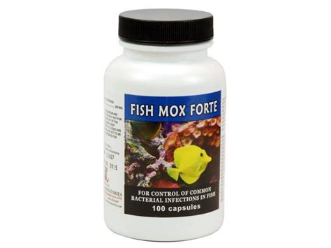 Fish Mox Forte Amoxicillin 500mg 100 Capsules