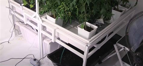 Plant Ebb Flow Flood And Drain Hydroponic System Off