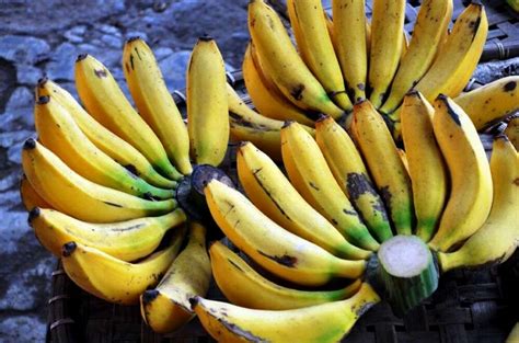 8 Jenis Buah Pisang Yang Enak Buat Diolah Atau Dimakan Langsung KASKUS