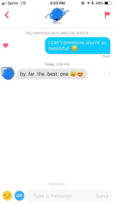 Her bio said “send me cheesy pick up lines” : r/Tinder