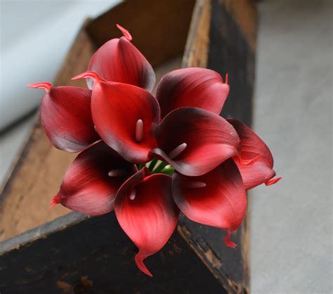 Dark Red Calla Lilies Real Touch Flowers Diy Silk Wedding Etsy