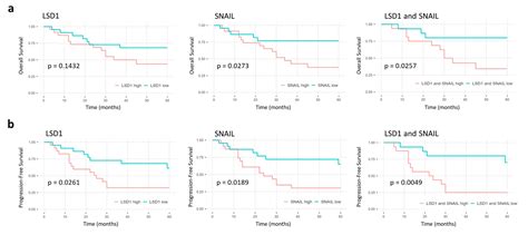 Ijms Free Full Text Elevated Lsd1 And Snail Expression Indicate