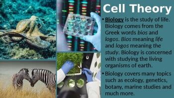 Ib Biology Chapter Introduction To Cells By Ib And Myp Resources