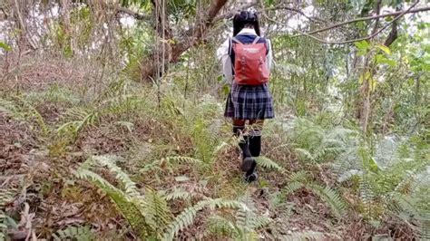 Porno Hutan - Homecare24