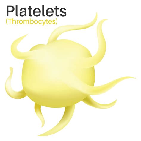 Platelets are tiny blood cells. 9874018 Vector Art at Vecteezy