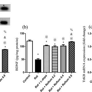 Roflumilast Ameliorates Rotenone Induced Behavioral Changes In Rats A