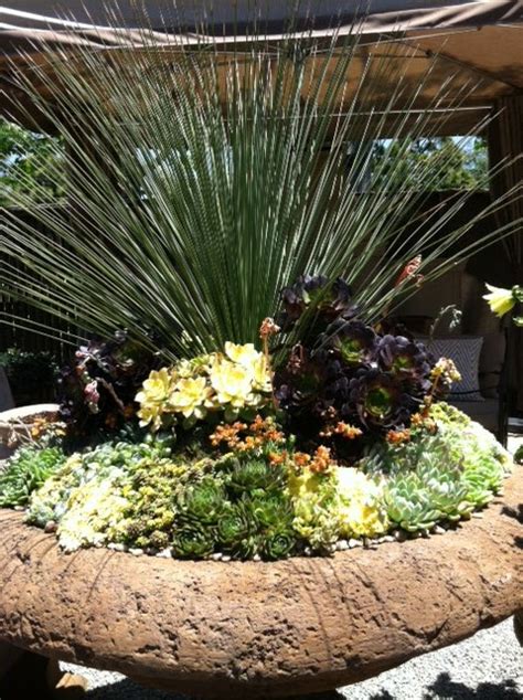 Design In My View: Rogers Gardens Nursery In Newport Beach, California