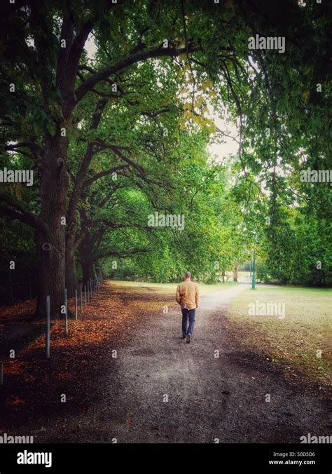 Man Walking Down Path Lined With Trees Stock Photo Alamy