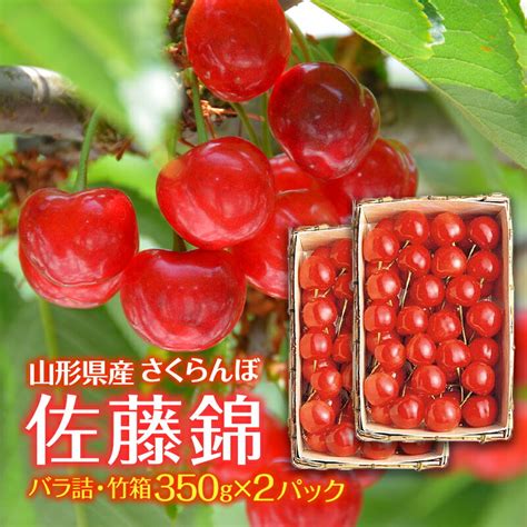 【楽天市場】【ふるさと納税】 《先行予約》贈答用 2024年 山形県産 さくらんぼ 佐藤錦 バラ詰・竹箱入 350g×2 F2y 5646：山形県