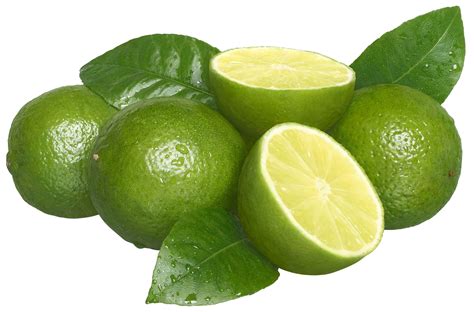 Lime Pure Essential Oil Uses and Benefits - Biosource Natruals