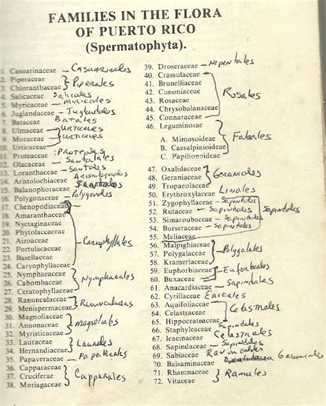 Plant Families Of Puerto Rico And Florida Papo Vives Dialípetalas De