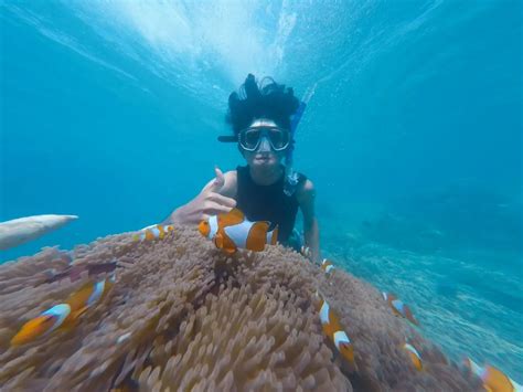 Snorkeling Pulau Pari: Ini Dia Daya Tarik, Rute, dan Tipsnya