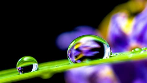 Free picture: water droplet, leaf