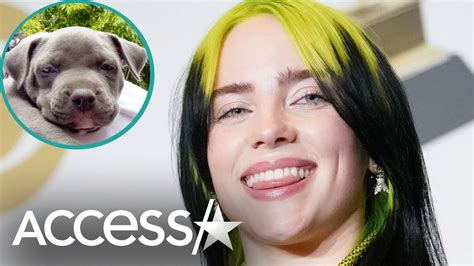 Billie Eilish Adopts Incredibly Adorable Pit Bull Puppy Youtube