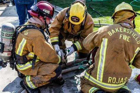 Feuerwehrleute Dachten Dass Sie Hundewelpen Aus Der Kanalisation