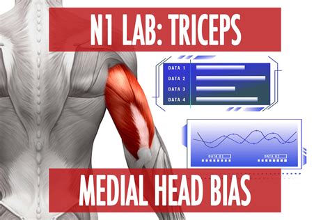 N1 Lab: Triceps Medial Head Bias - N1 Training