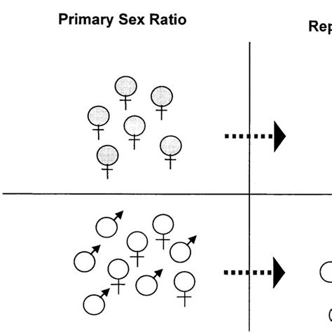 Incubation Temperature Versus Growth Download Scientific Diagram